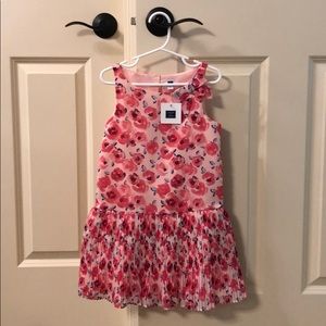 Janie and Jack dress